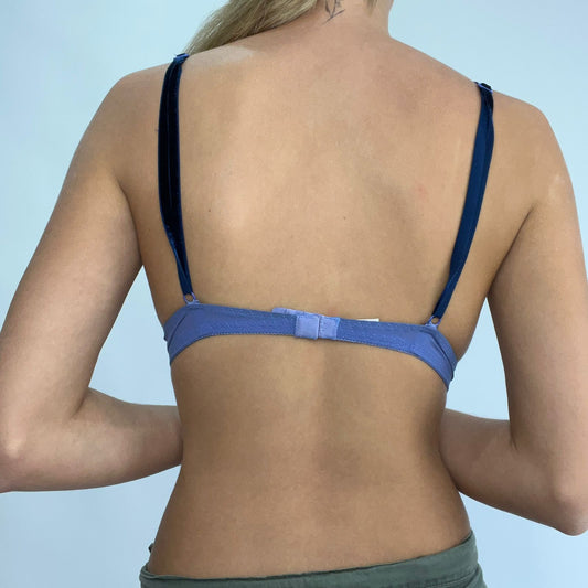 GALENTINES DAY BRA | small blue mesh bra